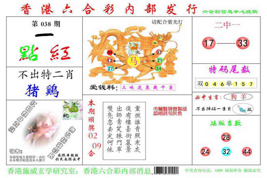 038期一点红[图]