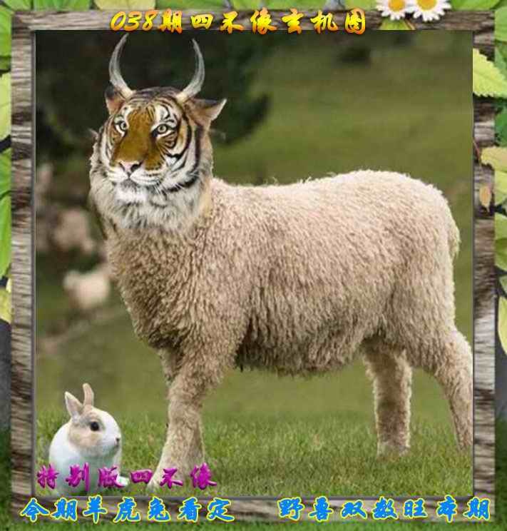 038期四不像特别版[图]